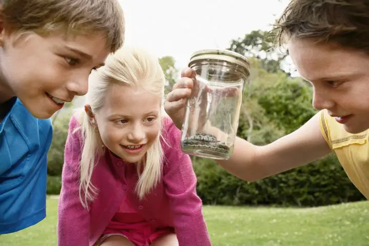Children looking at snake in a jar