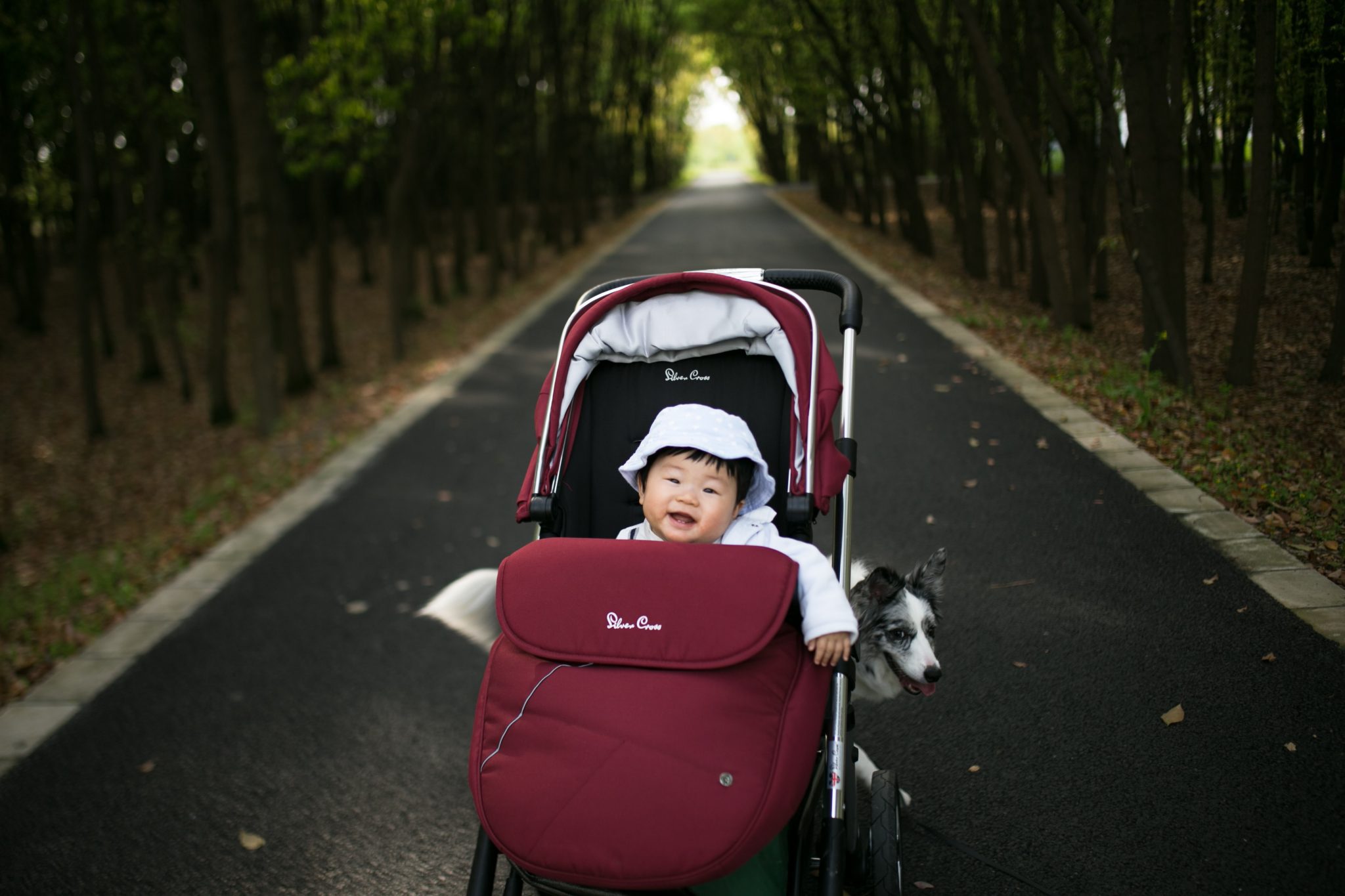 Most Expensive Stroller Luxury Riding