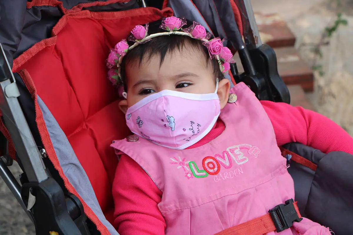 Stokke Vs Bugaboo Vs UPPAbaby Car Seats, Strollers And Travel Systems