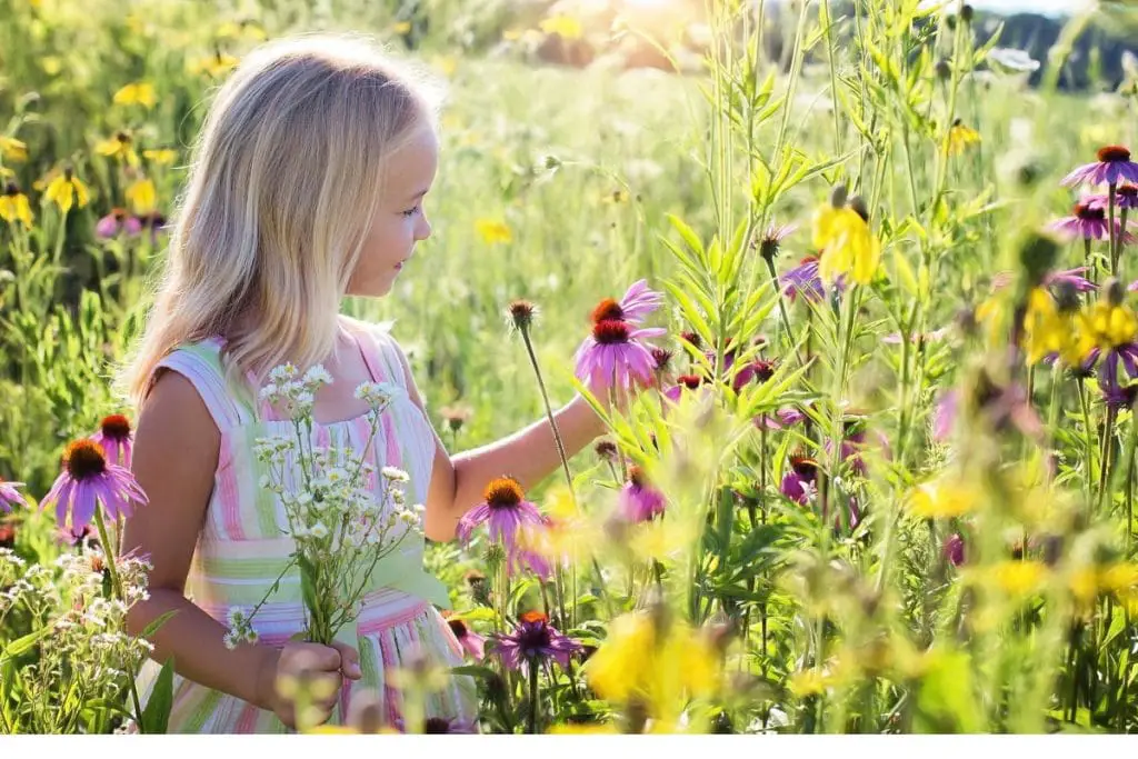 little girl wildflowers meadow