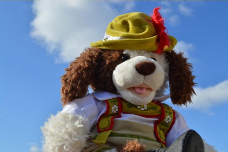 429 CUTE Names For Stuffed Animals 38 Popular Animals